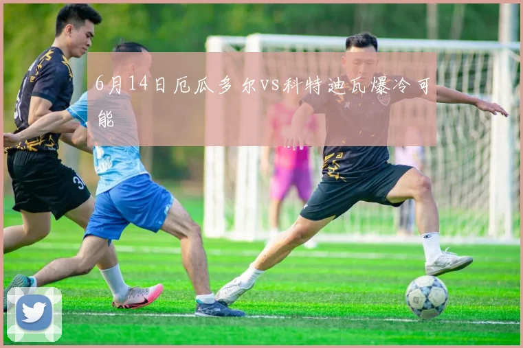6月14日厄瓜多尔vs科特迪瓦爆冷可能