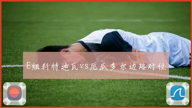E组科特迪瓦vs厄瓜多尔边路对位
