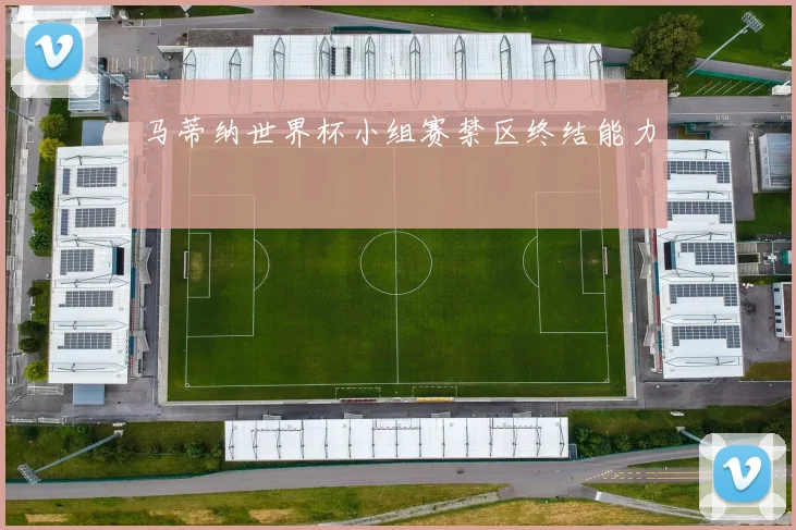 马蒂纳世界杯小组赛禁区终结能力
