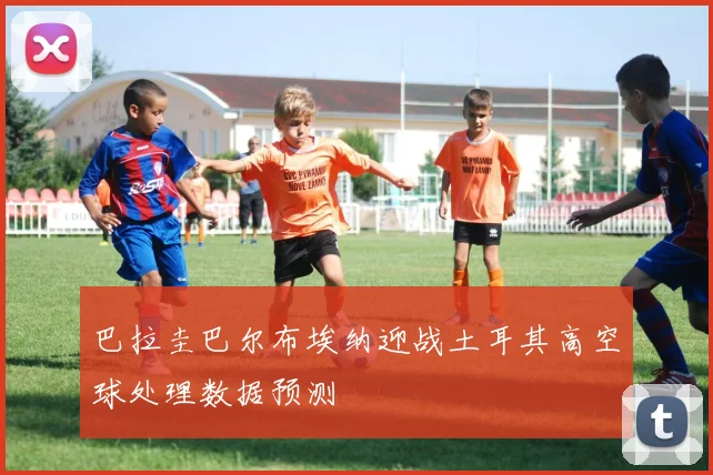 巴拉圭巴尔布埃纳迎战土耳其高空球处理数据预测