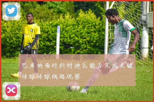 巴库纳面对科特迪瓦能否完成关键传球传球线路观察