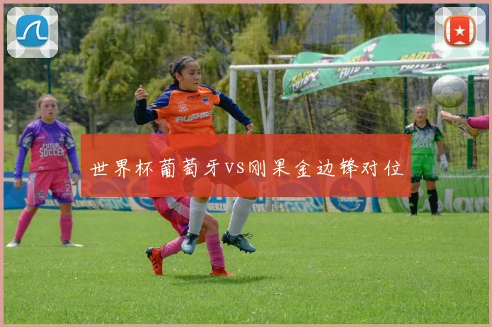 世界杯葡萄牙vs刚果金边锋对位