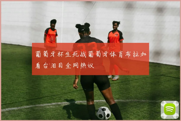 葡萄牙杯生死战葡萄牙体育布拉加看台泪目全网热议