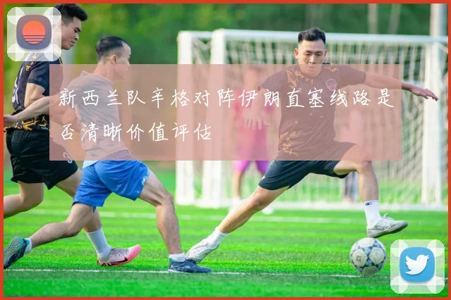 新西兰队辛格对阵伊朗直塞线路是否清晰价值评估
